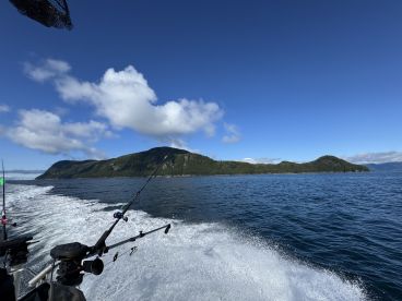 Fantastic Day of Fishing