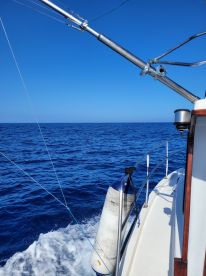 Big game and bottom fishing