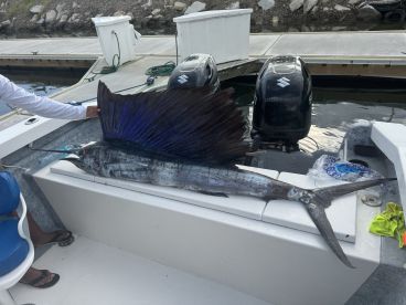 Great crew, comfortable boat, big sailfish!