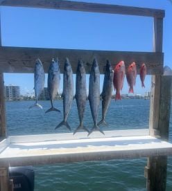Fishing trip success!