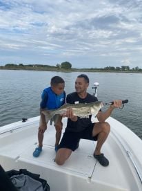 Highly recommended!!!