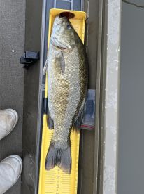Fish on. 