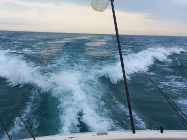 Fishing with Ray