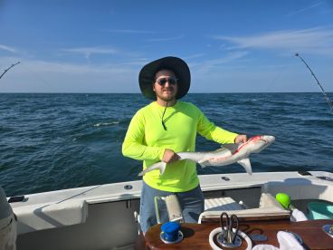 Great trip