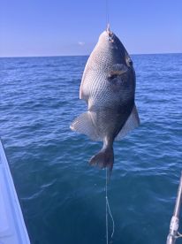 Fishing with Tanner