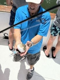 Captain Paul Yacht Chaters