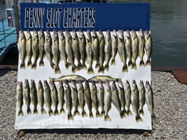Penny Slots Charters