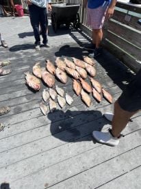 July fishing trip