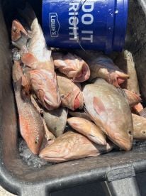 July fishing trip
