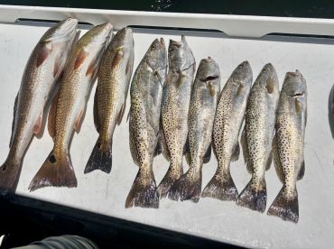 Great day fishing in late July