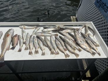 Great day fishing in late July