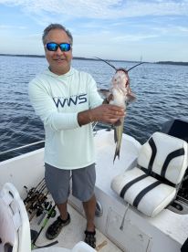 Here Fishy Fishy