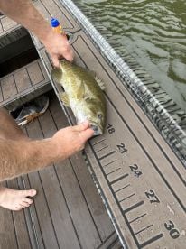 Slaying smallmouth with Capt. Ridge