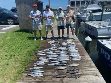 Great Fishing