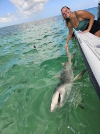 Shark Fishing Trip