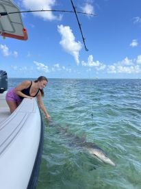 Shark Fishing Trip