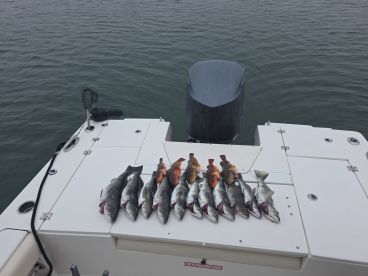 Tight lines and good times