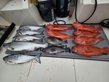 Great day fishing !