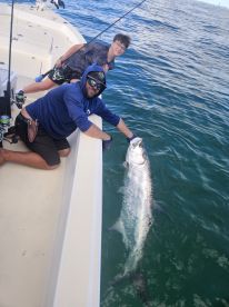 Tarpon