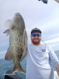 Big Goliath
