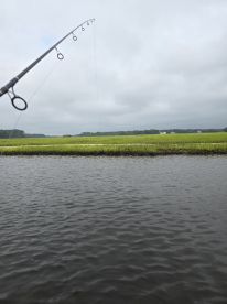 Great time
