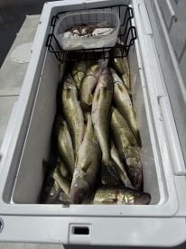 Champion Charters is first rate 