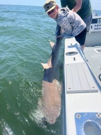 Family Shark Trip 
