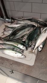 Great day out from Ramsgate