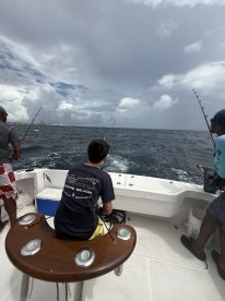 Great afternoon\u2019s fishing \ud83c\udfa3 