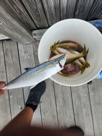 July fishing trip