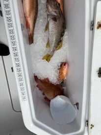 Fish on!!