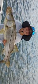 Monster snook