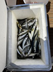Super nice experienced guide and great catches