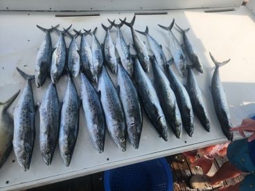 Awesome fishing trip
