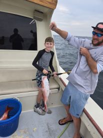 6hr snapper