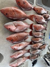Filled the cooler!