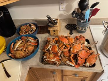 Shrimp and crab!