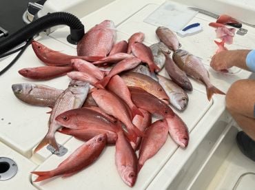 Excellent Fishing Experience 