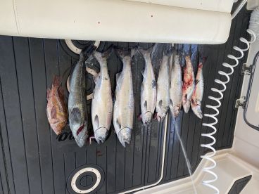 Great day fishing.