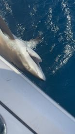 An Unforgettable Day on the water 