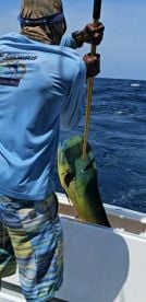 Great trip Had 5 different species on the line