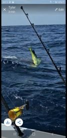 Great trip Had 5 different species on the line