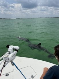 What an experience!