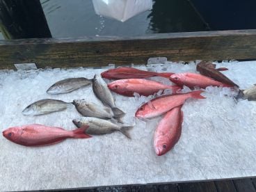 Great fishing trip with Son and Daughter 