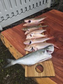 First time on a charter 