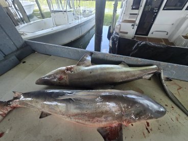 Great day of fishing 