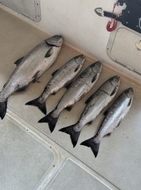 Great morning on the water