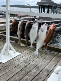 We loved our fishing charter!