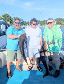 Tip Sea charters keep you on fish and work like crazy doing so!