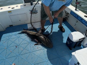 Tip Sea charters keep you on fish and work like crazy doing so!